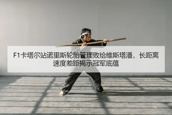 ka-ta-er-zhan-nuo-li-si-lun-tai-guan-li-bai-gei-wei-si-ta-pan-zhang-ju-li-su-du-cha-ju-jie-shi-guan-jun-di-yun-2-843.jpg