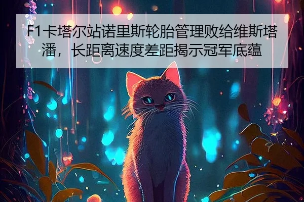 F1卡塔尔站诺里斯轮胎管理败给维斯塔潘，长距离速度差距揭示冠军底蕴